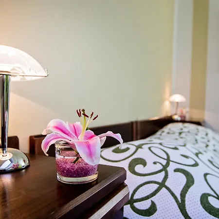 博纳赛瓦酒店 布拉格