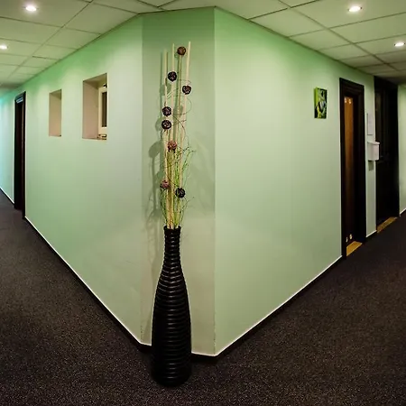 博纳赛瓦酒店 酒店 3*