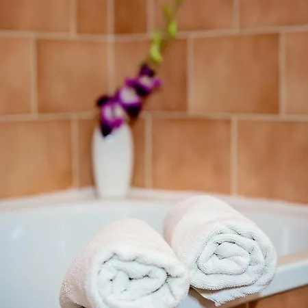 博纳赛瓦酒店 3*