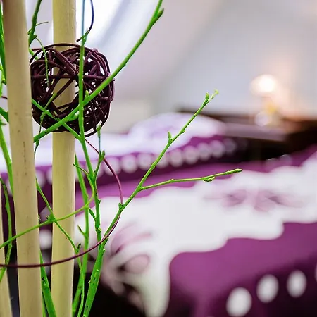 酒店 博纳赛瓦酒店 3*