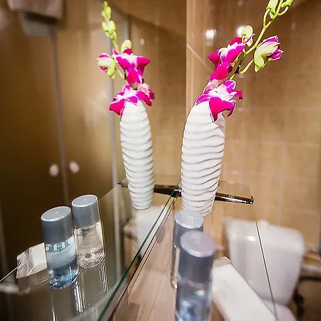 酒店 博纳赛瓦酒店 3*