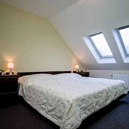 博纳赛瓦酒店 3* 布拉格