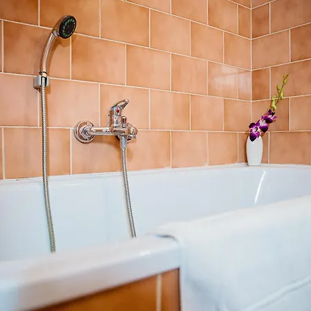 博纳赛瓦酒店 3* 布拉格