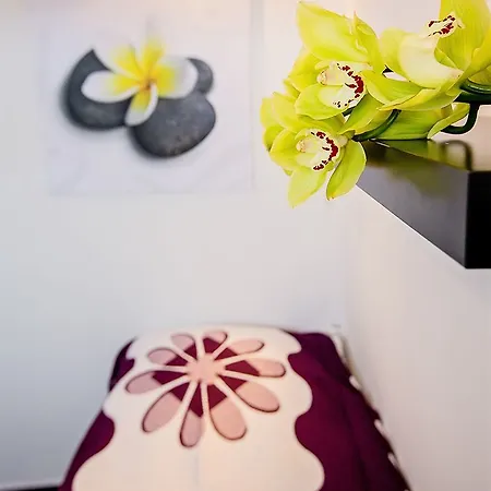 酒店 博纳赛瓦酒店 3*